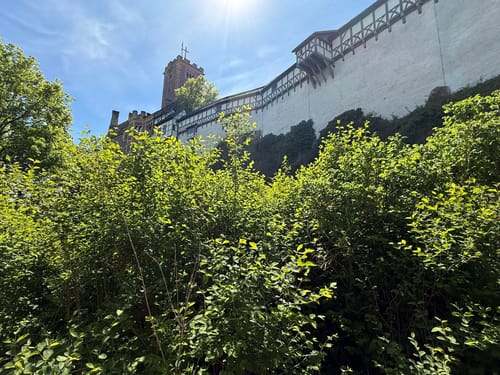Hohe Sonne - Drachenschlucht - Wartburg