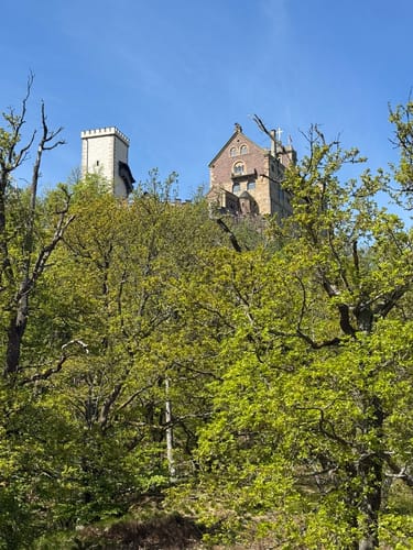 Hohe Sonne - Drachenschlucht - Wartburg