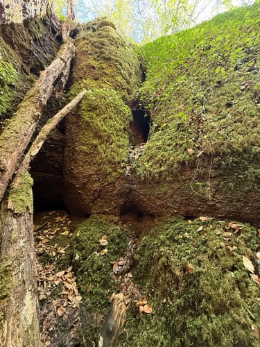Hohe Sonne - Drachenschlucht - Wartburg