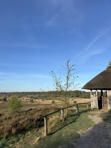 Suhorn - Wümmeberg - Tütsberg