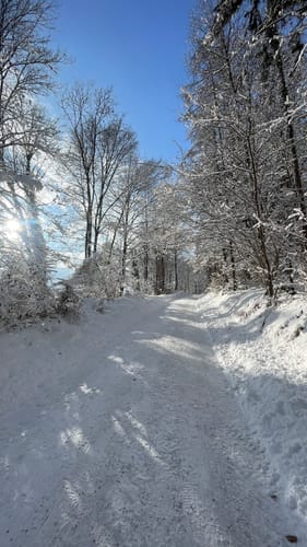 Bad Reichenhall und Saalach