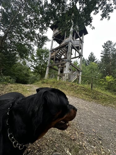 Kaiserin-Auguste-Viktoria Park 5k