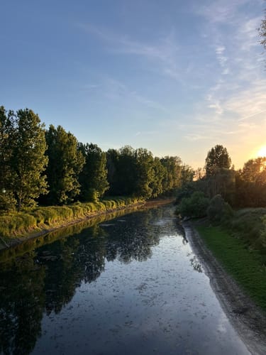Rundwanderweg Riedstadt Erfelder Fußgängerbrücke 2: Nachtigallenweg