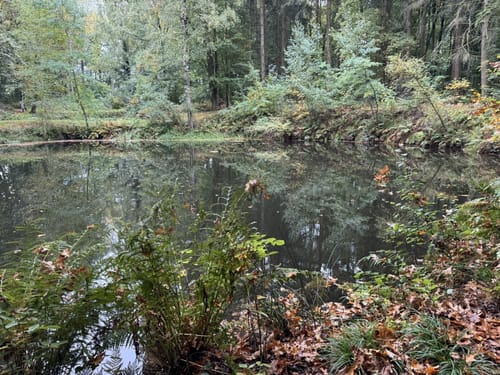 Pilgerweg Loccum-Volkenroda Etappe 1: Loccum - Stadthagen
