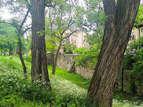 Stadtspaziergang Naumburg