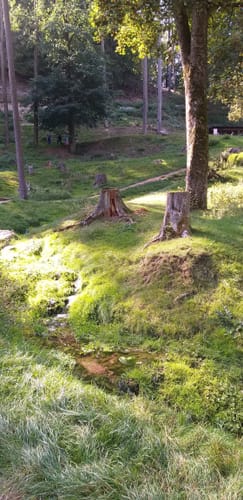 Wildpark Hundshaupten