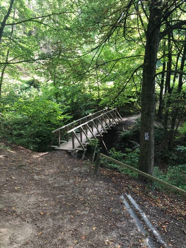Rundweg Teufelsbrücke - Rodenberger Höhe