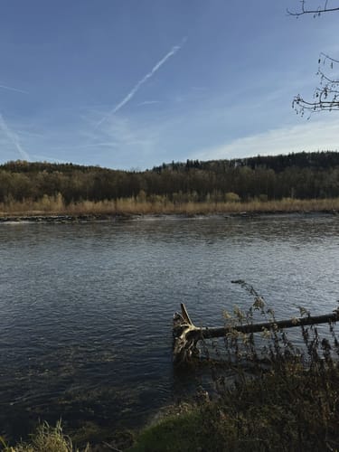 Entlang der Isar 3: Munich - Schaftlarn