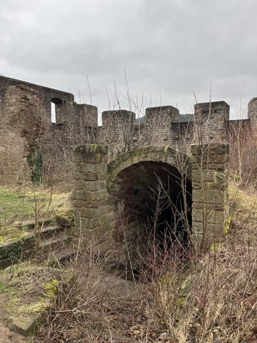 Neustadt / Wstr.- Weinbiet-Ruine Wolfsburg Rundtour