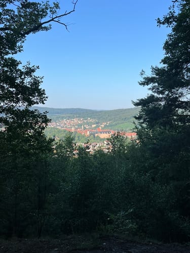 Welfenschloss - Mündener Stadtwald Rundweg