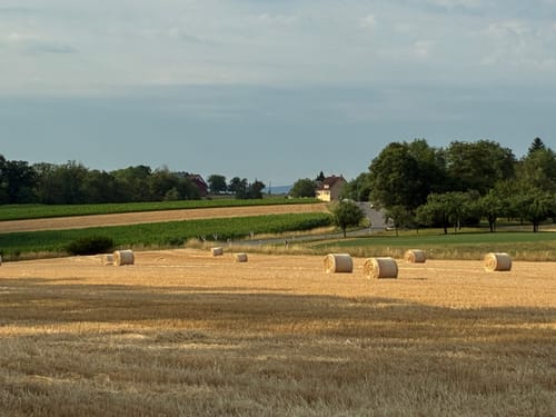 Großspach - Hardtwald - Steinhausen