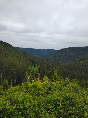 Mittelweg Etappe 4: Freudenstadt - Schiltach