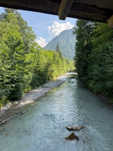 Rund um den Freibergsee
