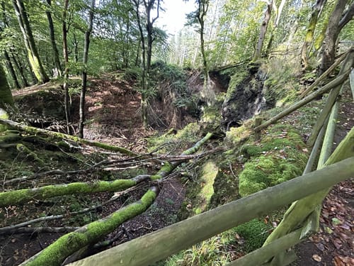 Von Steinborn zum Ernstberg