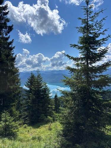 Wanderweg 445: Walchensee - Heimgarten