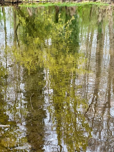 Nette-Seen (Premiumwanderweg)