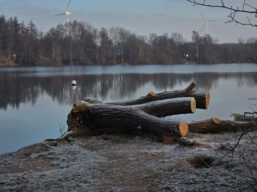 Kaarster See Rundweg