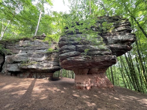 Felsenwald (Premiumwanderweg)