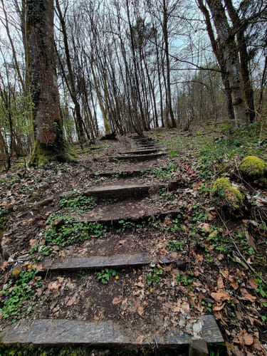 Blies-Grenz-Weg (Premiumwanderweg)
