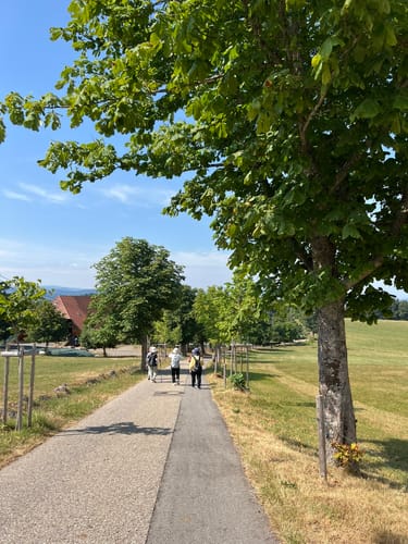 Sankt Märgen Rundweg