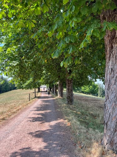 Sankt Märgen Rundweg