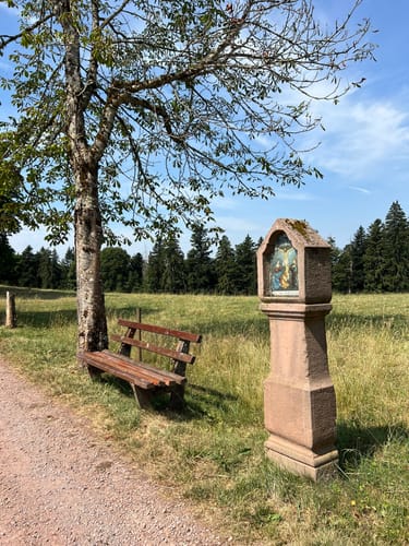 Sankt Märgen Rundweg