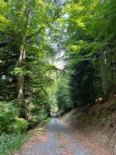 Sankt Märgen Rundweg