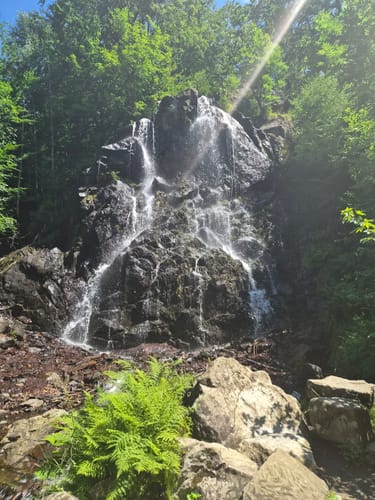 Vom Baumwipfelpfad zur Rabenklippe