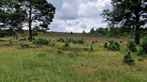 Im Tal der Haverbeeke: Zum Alfred-Toepfer-Blick