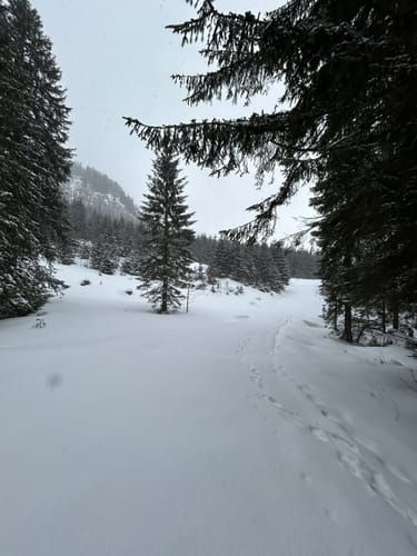 Mühlberg zum Laubenstein