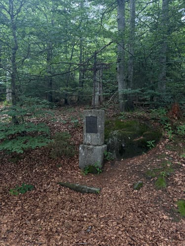 Lusen Rundweg ab Waldhäuser
