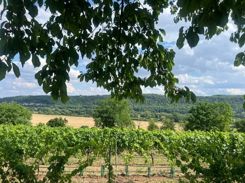Weinbergsweg Bad Kösen über Fürst Heinrich Stein
