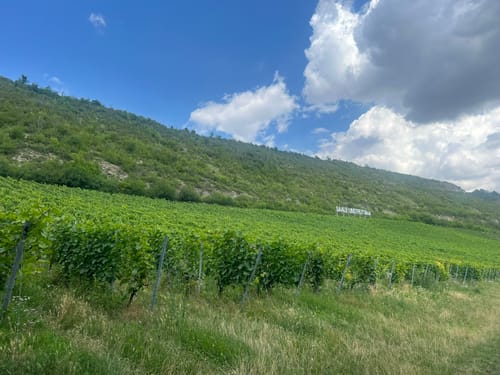 Weinbergsweg Bad Kösen über Fürst Heinrich Stein