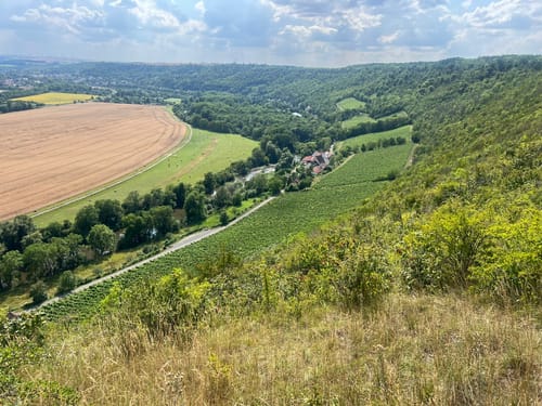Weinbergsweg Bad Kösen über Fürst Heinrich Stein