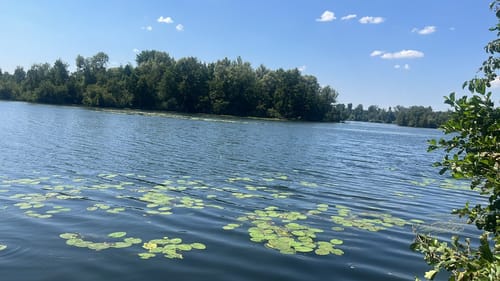 Von Tetz um die Rur zum Barmener Baggersee
