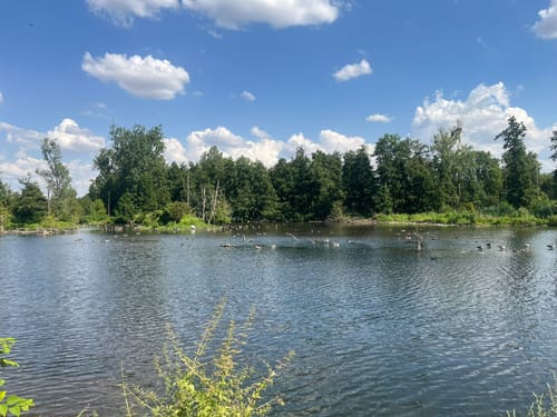 Von Tetz um die Rur zum Barmener Baggersee
