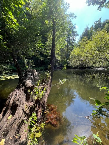 Von Tetz um die Rur zum Barmener Baggersee