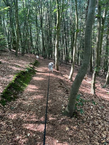 Spur der Steine (Premiumspazierwanderweg)