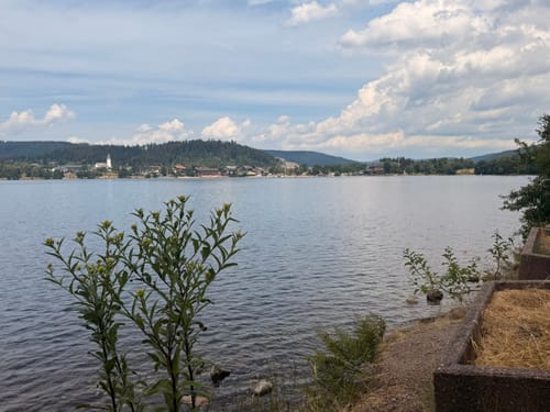Titisee Rundweg