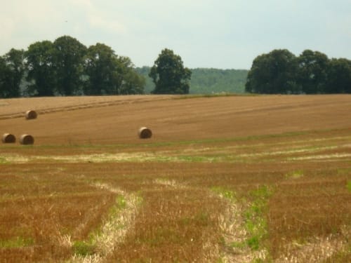 Radfernweg Berlin-Usedom Etappe 2: Joachimsthal - Prenzlau
