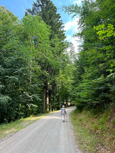 Sankt Märgen Rundweg