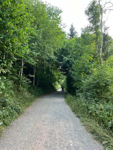 Titisee Rundweg