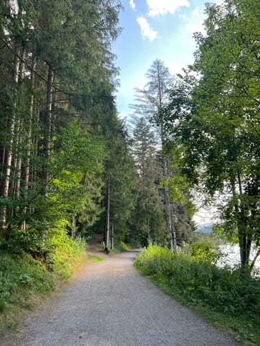 Titisee Rundweg