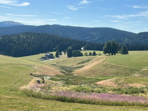 Schauinsland