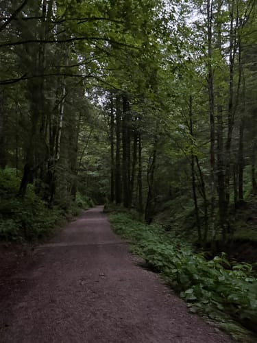 Aueralm Rundweg