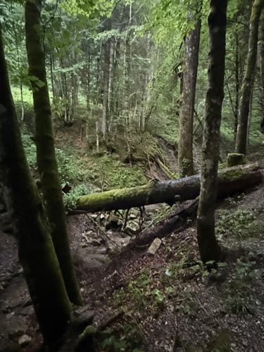 Aueralm Rundweg