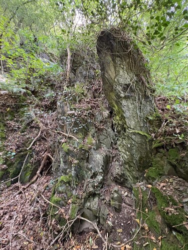 Niederfeller Schweiz (Premiumspazierwanderweg)