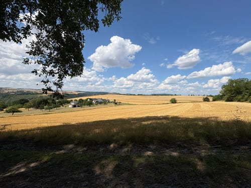 Niederfeller Schweiz (Premiumspazierwanderweg)