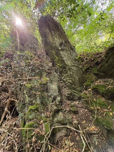 Niederfeller Schweiz (Premiumspazierwanderweg)