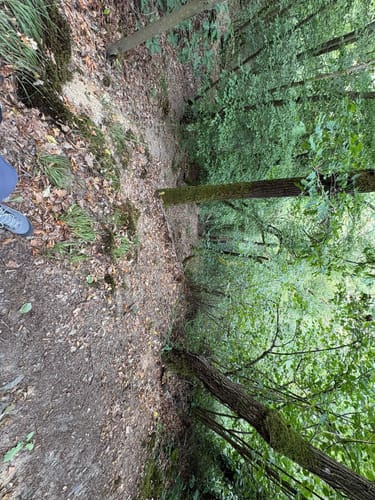 Niederfeller Schweiz (Premiumspazierwanderweg)